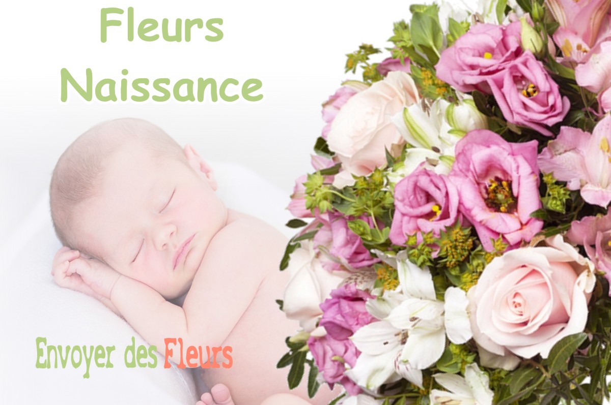 lIVRAISON FLEURS NAISSANCE à MONTEYNARD